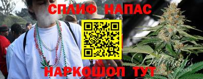 крисы Будённовск