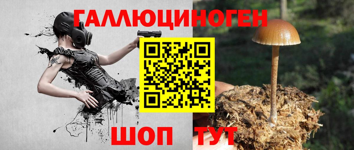 Первоуральск  Псилоцибиновые грибы Psilocybe  Псилоцибиновые грибы GOLDEN TEACHER  Вход с VPN 